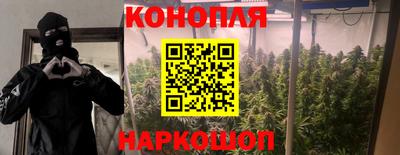 дживик Аргун