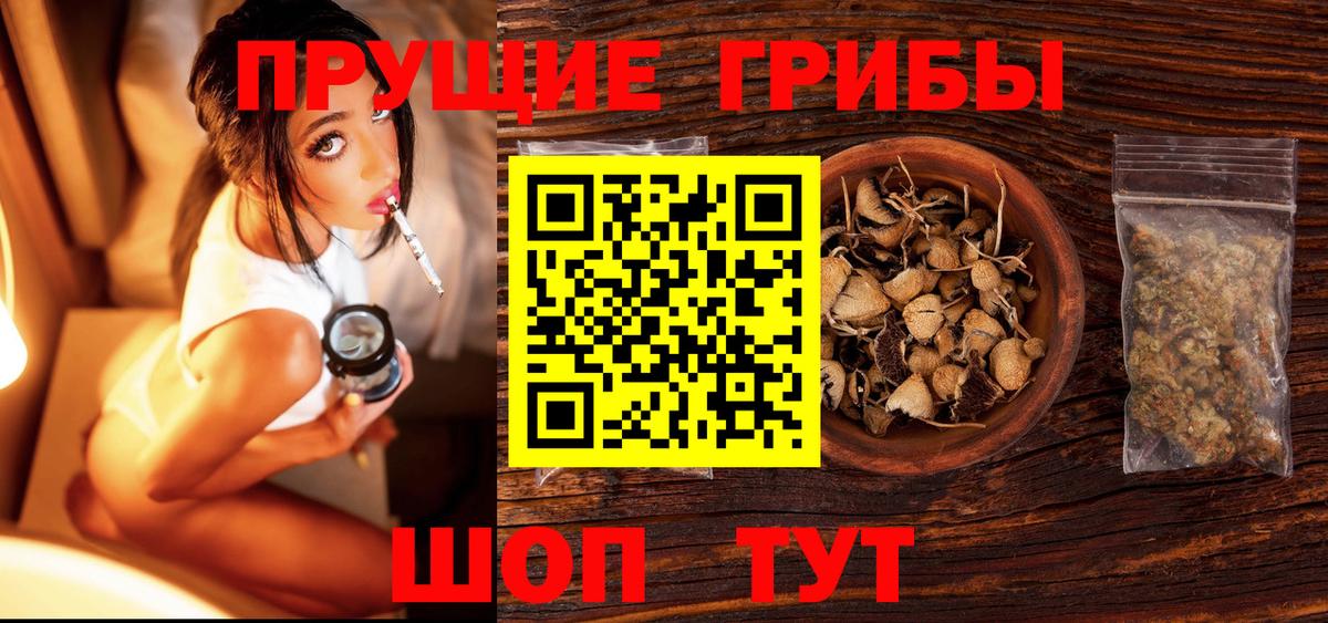 Ачинск  где купить наркоту  Вход с VPN  Галлюциногенные грибы мухоморы 