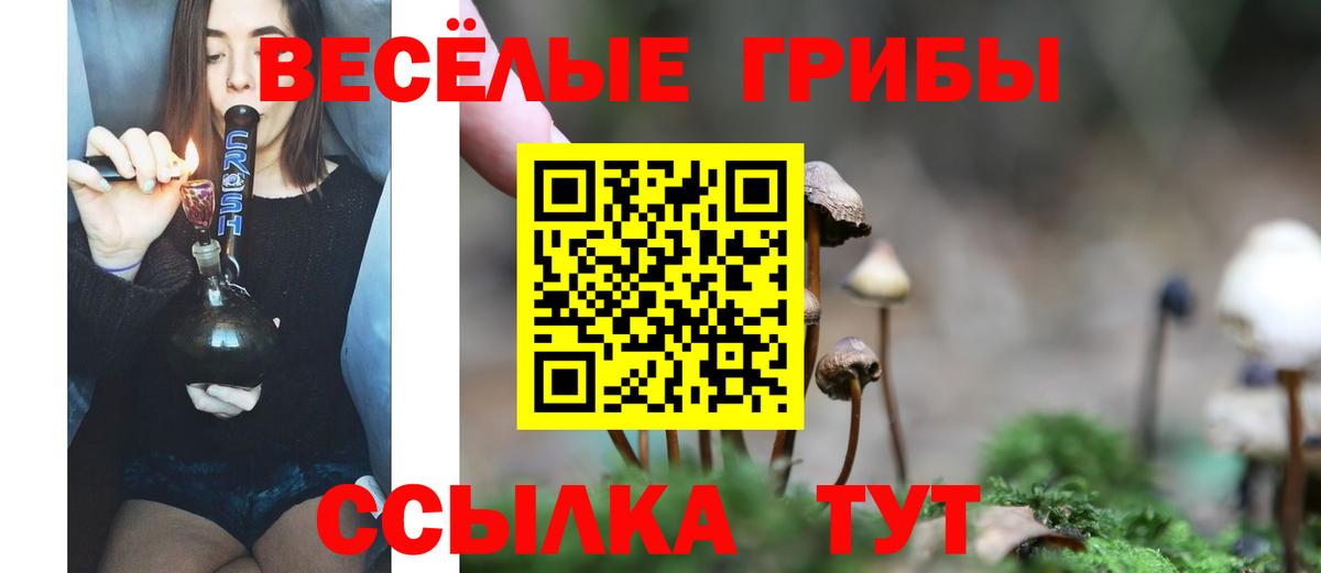 Псилоцибиновые грибы Cubensis Ачинск